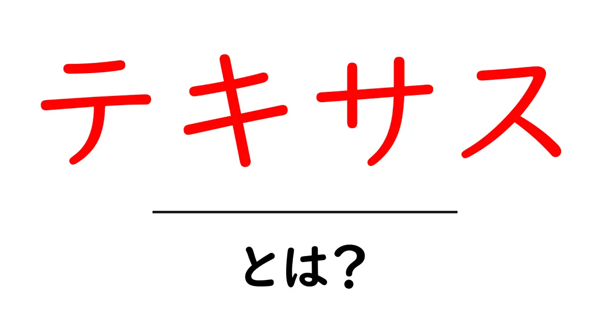 テキサス・とは？初心者向けに徹底解説：地理・歴史・文化を学ぶ共起語・同意語・対義語も併せて解説！