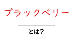 ブラックベリーとは？初心者でも分かる基本ガイド：果実・植物・名前の意味を徹底解説共起語・同意語・対義語も併せて解説！