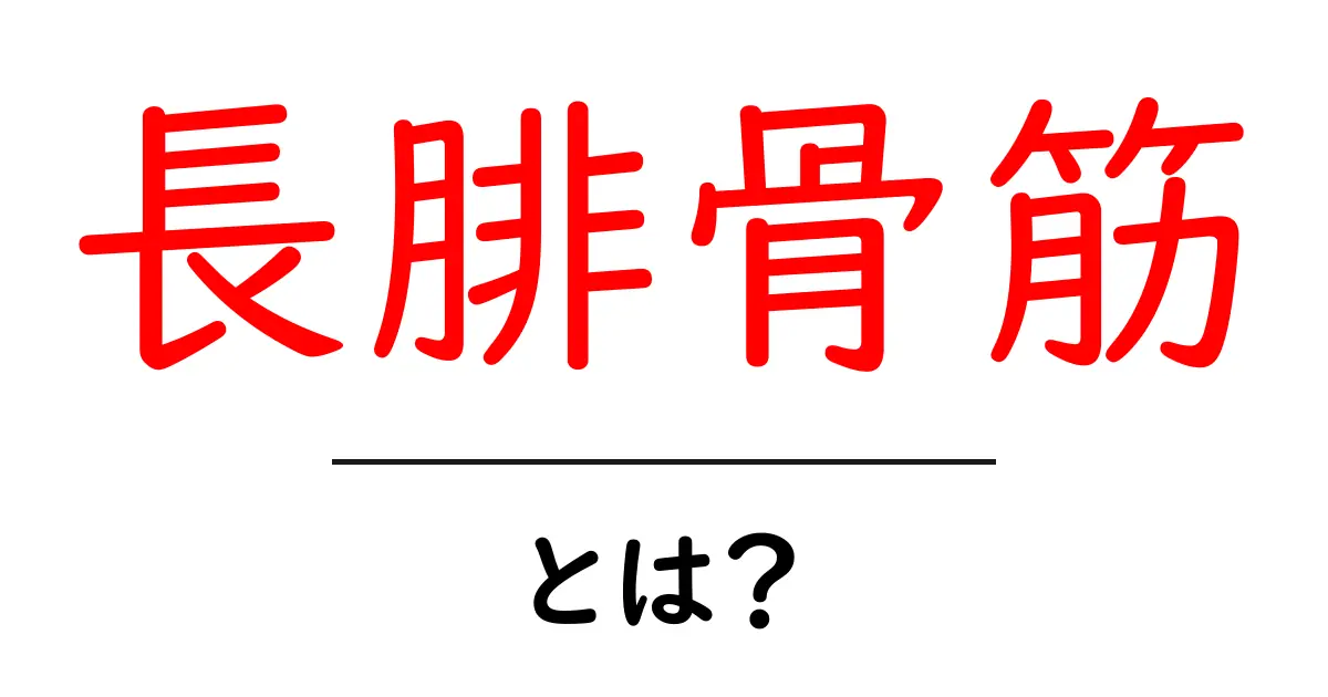 長腓骨筋とは？初心者向けガイドで足の筋肉を理解しよう共起語・同意語・対義語も併せて解説！