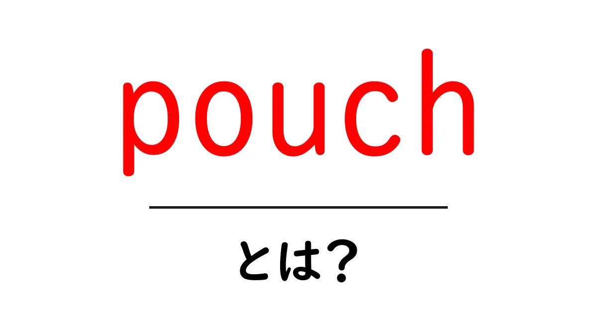 pouchとは？初心者のための意味と使い方ガイド共起語・同意語・対義語も併せて解説！