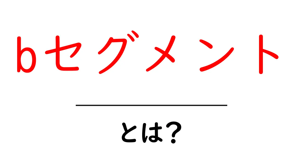 bセグメント・とは？初心者にもわかる基礎解説と活用のコツ共起語・同意語・対義語も併せて解説！