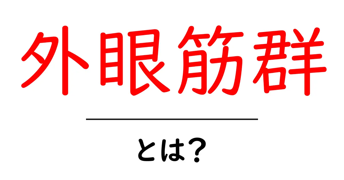 外眼筋群とは？ 外眼筋群でわかる目の動きのしくみ共起語・同意語・対義語も併せて解説！
