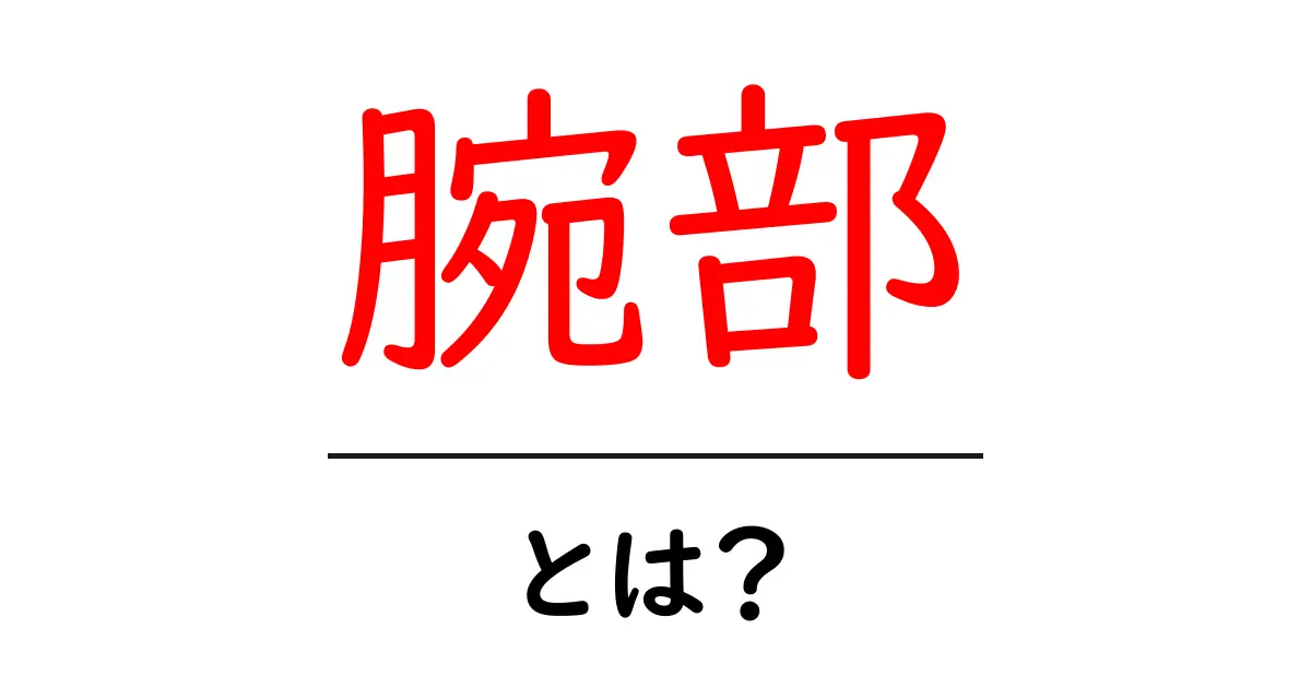 腕部・とは？初心者でも分かる腕の基礎解説と解剖のポイント共起語・同意語・対義語も併せて解説！