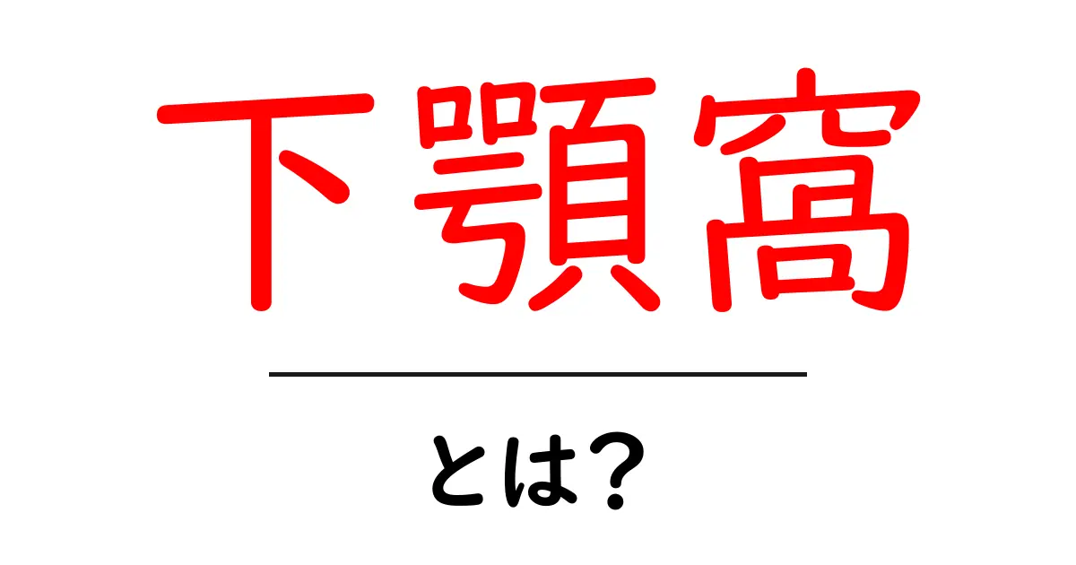 下顎窩とは?初心者にもわかる解説—顎の関節の基本を学ぼう共起語・同意語・対義語も併せて解説!