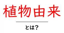 植物由来・とは？初心者でも分かる基本と日常で活用するコツ共起語・同意語・対義語も併せて解説！