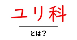 ユリ科とは?花の仲間・特徴・代表例をやさしく解説共起語・同意語・対義語も併せて解説!