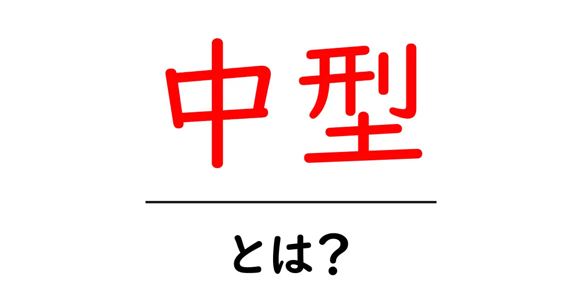 中型・とは？初心者向けにやさしく解説するガイド共起語・同意語・対義語も併せて解説！