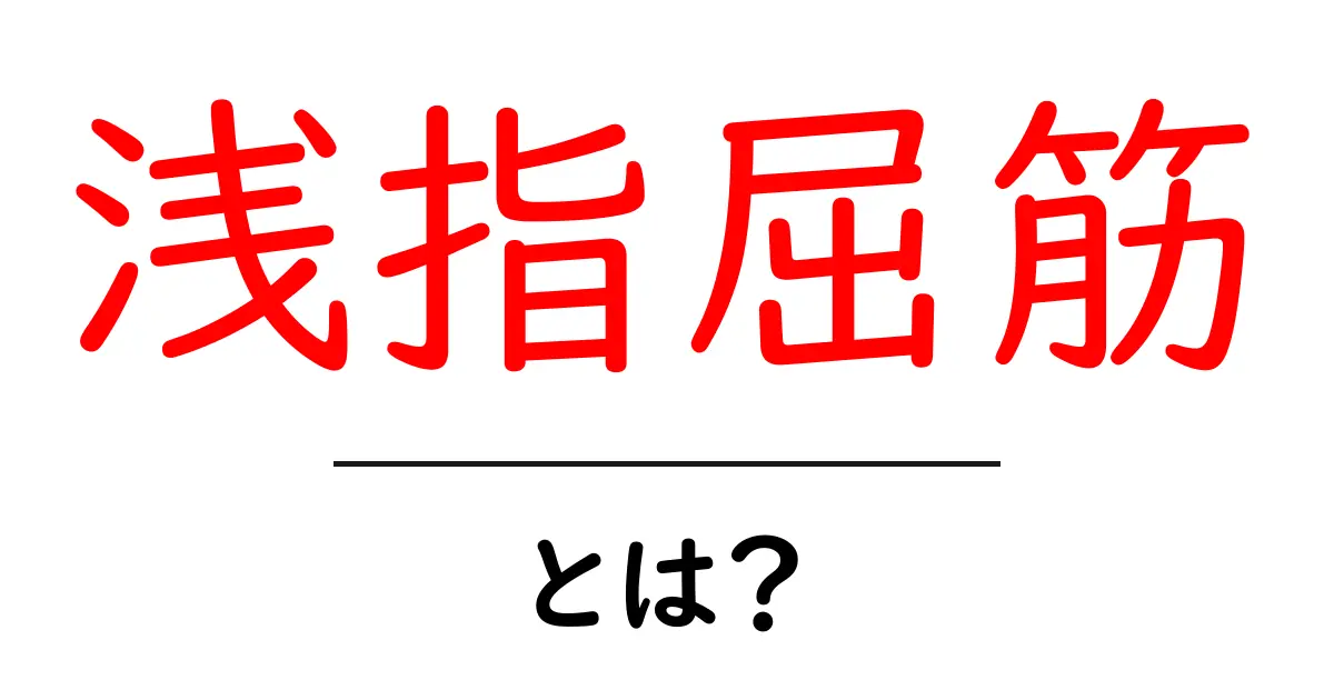 浅指屈筋・とは?初心者でも分かる手の筋肉解説共起語・同意語・対義語も併せて解説!