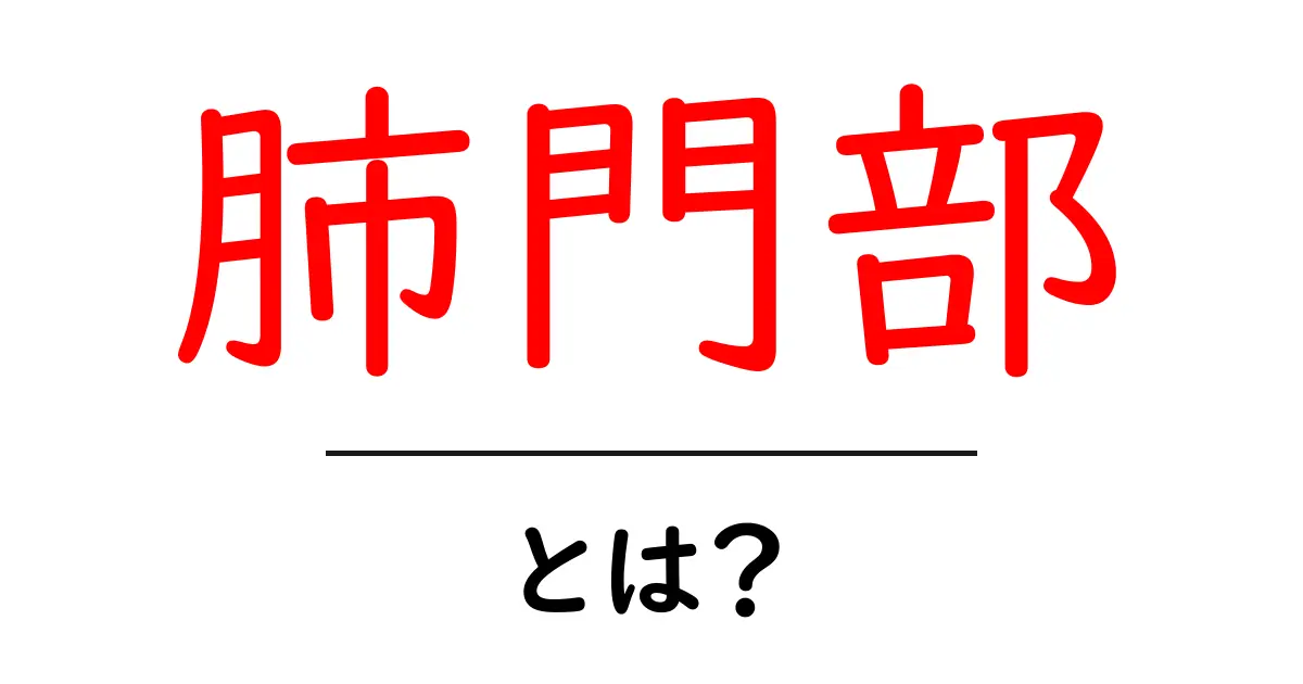 肺門部とは？肺の入口を押さえるしくみと役割を初心者にわかりやすく解説共起語・同意語・対義語も併せて解説！