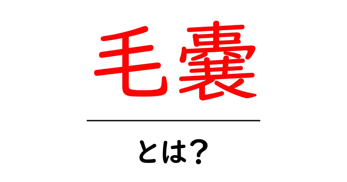 毛嚢・とは？初心者でもすぐ分かる毛嚢の基礎解説共起語・同意語・対義語も併せて解説！