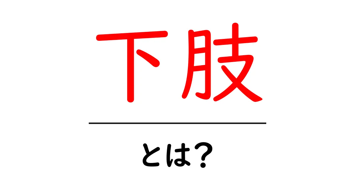 下肢・とは？初心者にやさしい体のしくみと使い方ガイド共起語・同意語・対義語も併せて解説！