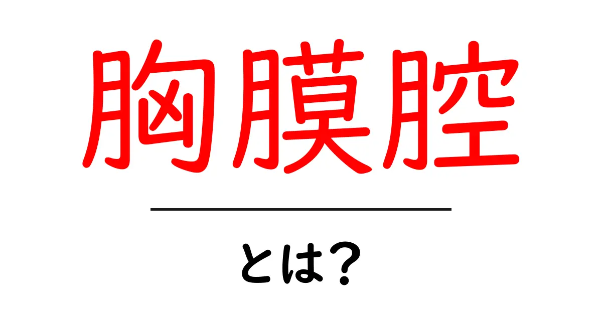 胸膜腔とは?初心者でもわかる解説と日常のイメージ共起語・同意語・対義語も併せて解説!