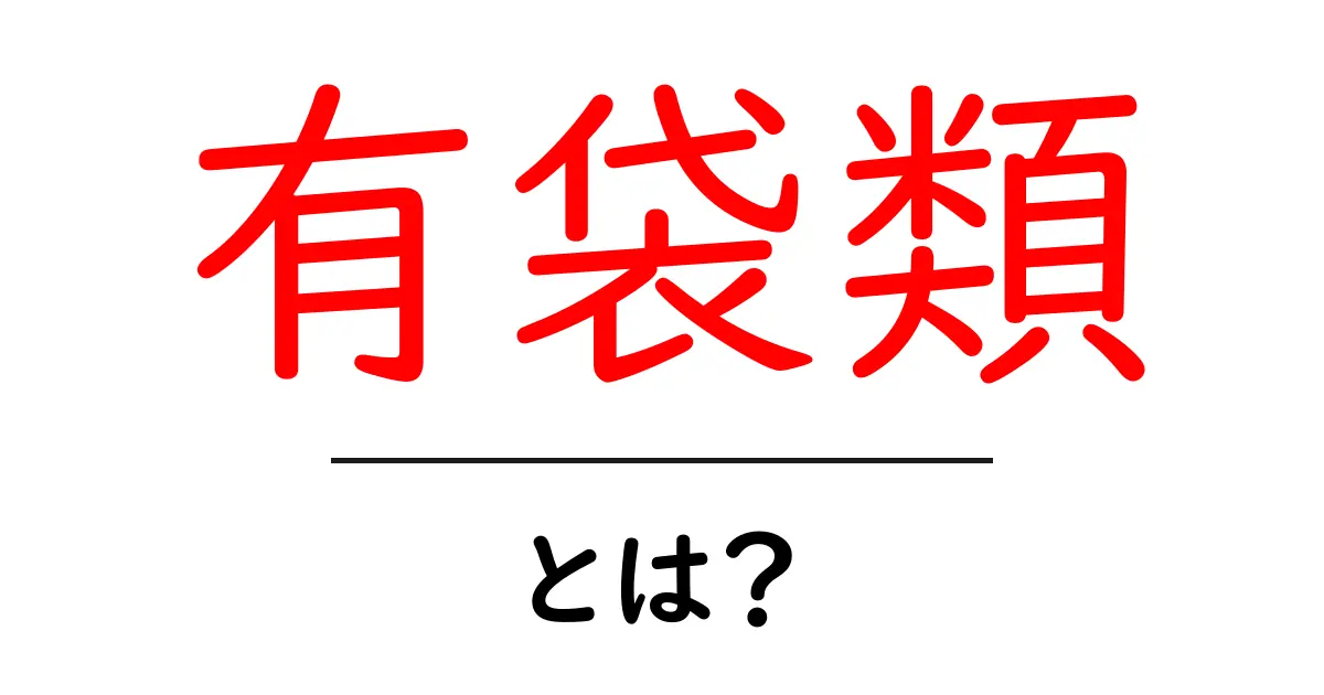 有袋類・とは？初心者でもわかる解説と特徴共起語・同意語・対義語も併せて解説！