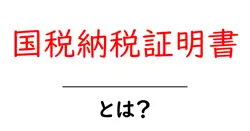 国税納税証明書・とは?初心者にも分かる使い方と取得方法共起語・同意語・対義語も併せて解説!