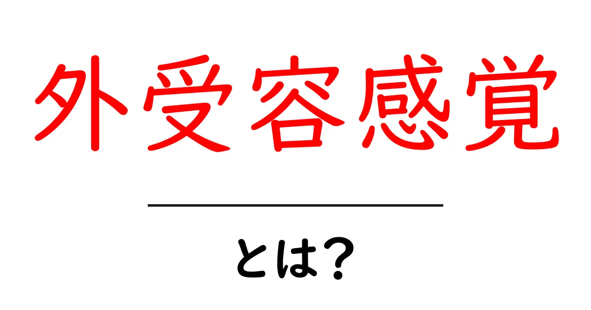 外受容感覚とは?初心者向けガイド – 外の情報を感じ取る基本をわかりやすく解説共起語・同意語・対義語も併せて解説!