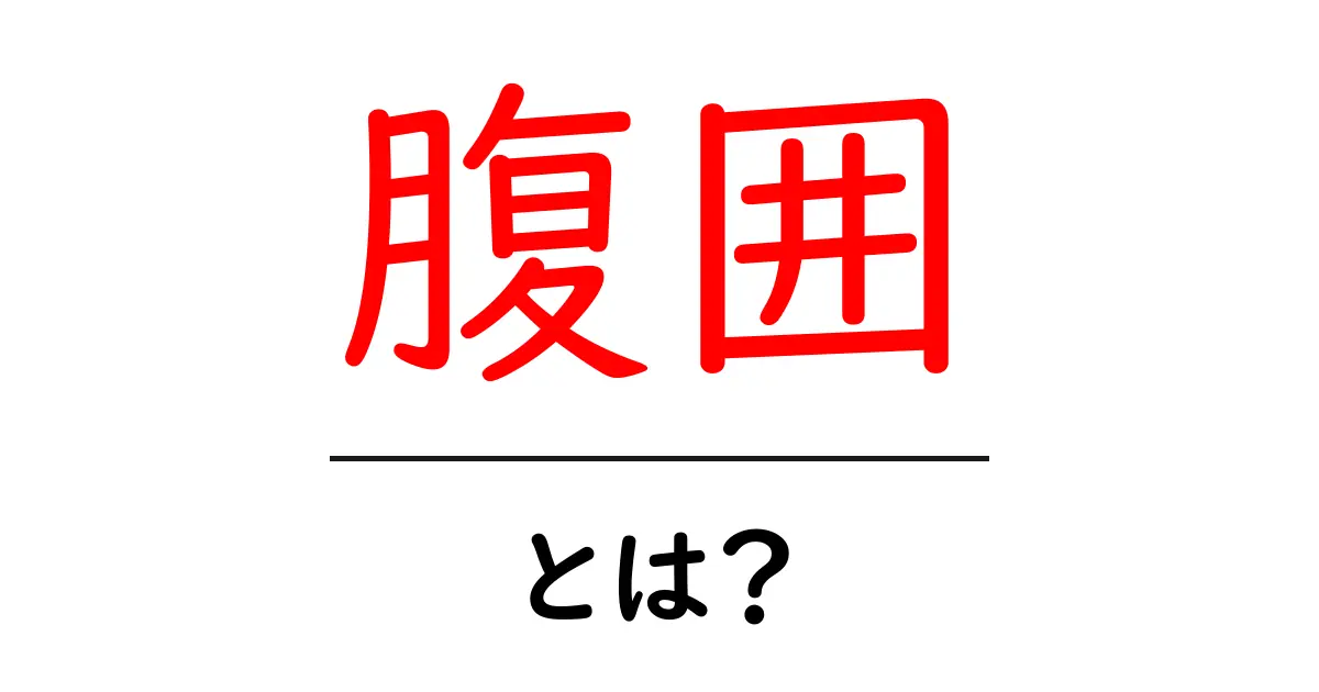 腹囲・とは？初心者でもわかる基礎解説共起語・同意語・対義語も併せて解説！