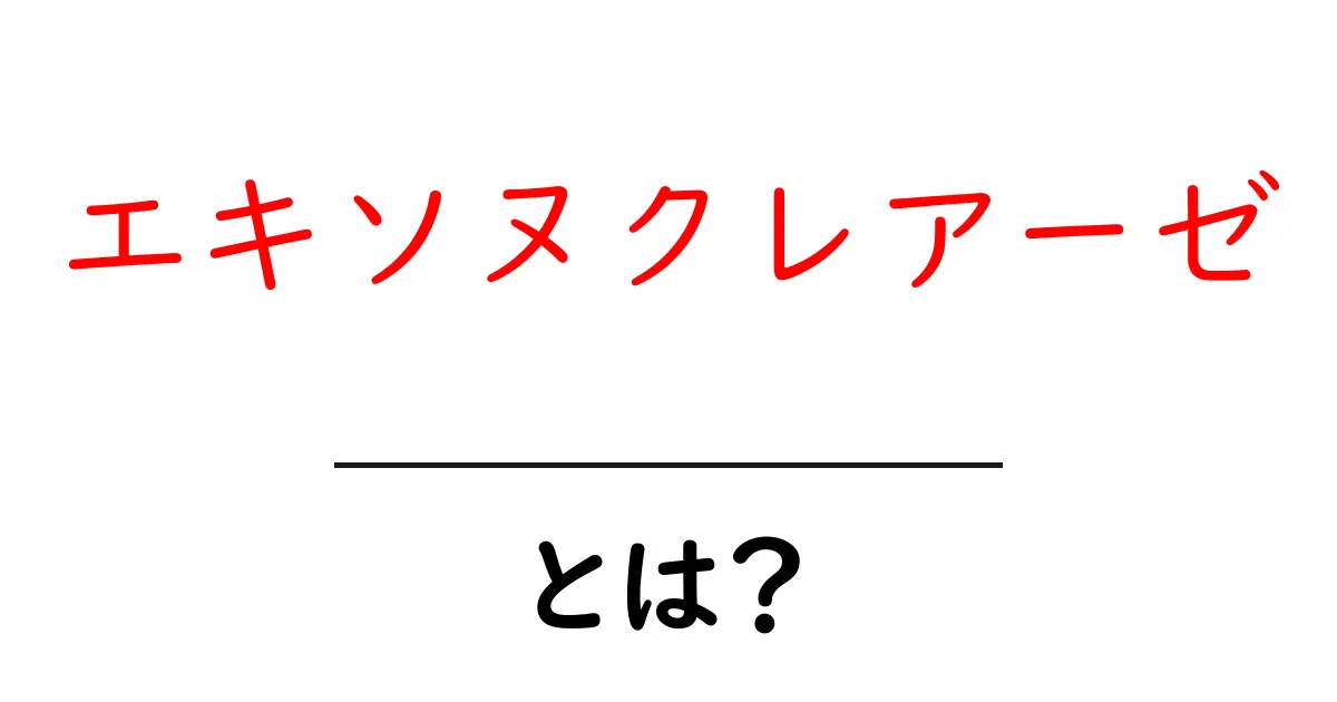 エキソヌクレアーゼとは?DNA・RNAの端を切る酵素の役割をやさしく解説共起語・同意語・対義語も併せて解説!