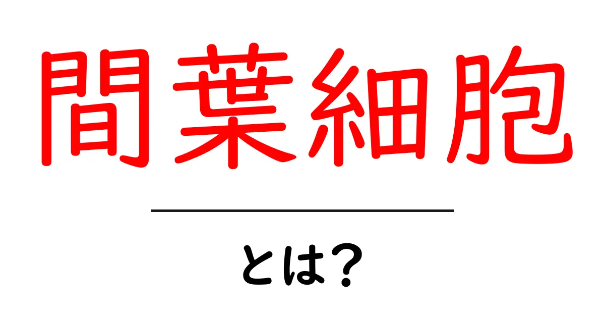 間葉細胞とは？初心者でも分かる基礎解説と身近な例共起語・同意語・対義語も併せて解説！