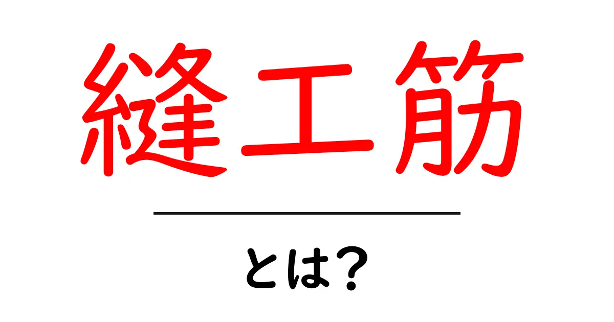 縫工筋・とは?初心者にも分かる筋肉解説ガイド共起語・同意語・対義語も併せて解説!