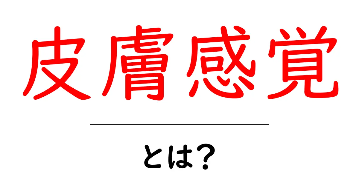 皮膚感覚とは何かを解説!触れる世界を理解する基本ガイド共起語・同意語・対義語も併せて解説!