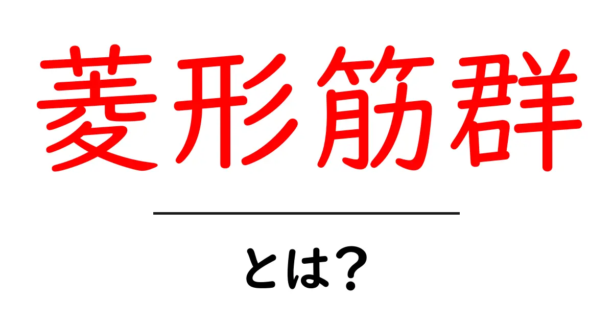 菱形筋群とは?初心者向けに解剖と機能をわかりやすく解説共起語・同意語・対義語も併せて解説!