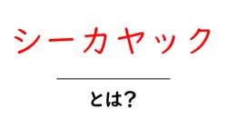 シーカヤックとは？初心者が知っておく基本と楽しみ方共起語・同意語・対義語も併せて解説！