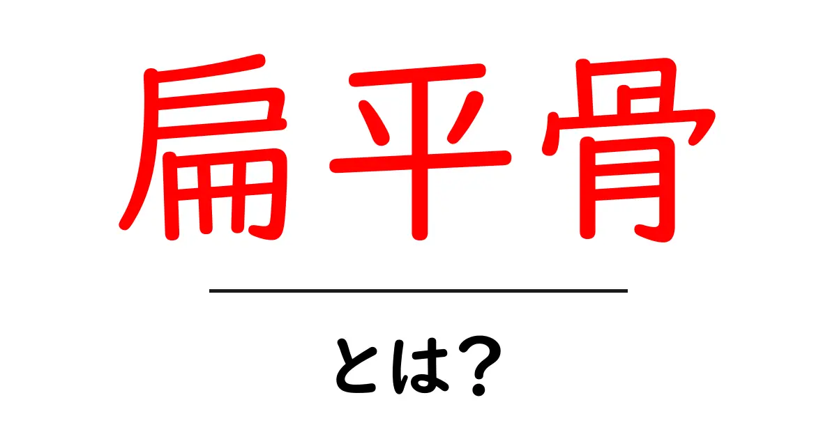 扁平骨とは?初心者向けにわかりやすく解説する入門ガイド共起語・同意語・対義語も併せて解説!