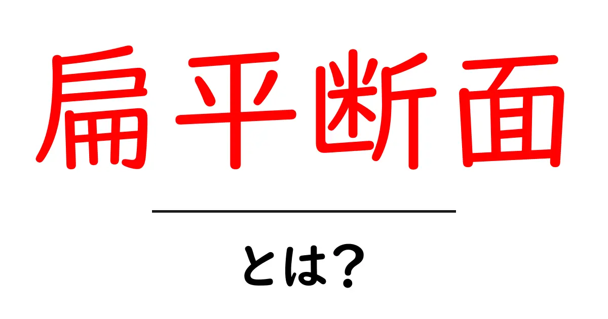 扁平断面・とは？初心者でも分かる簡単解説と実例共起語・同意語・対義語も併せて解説！