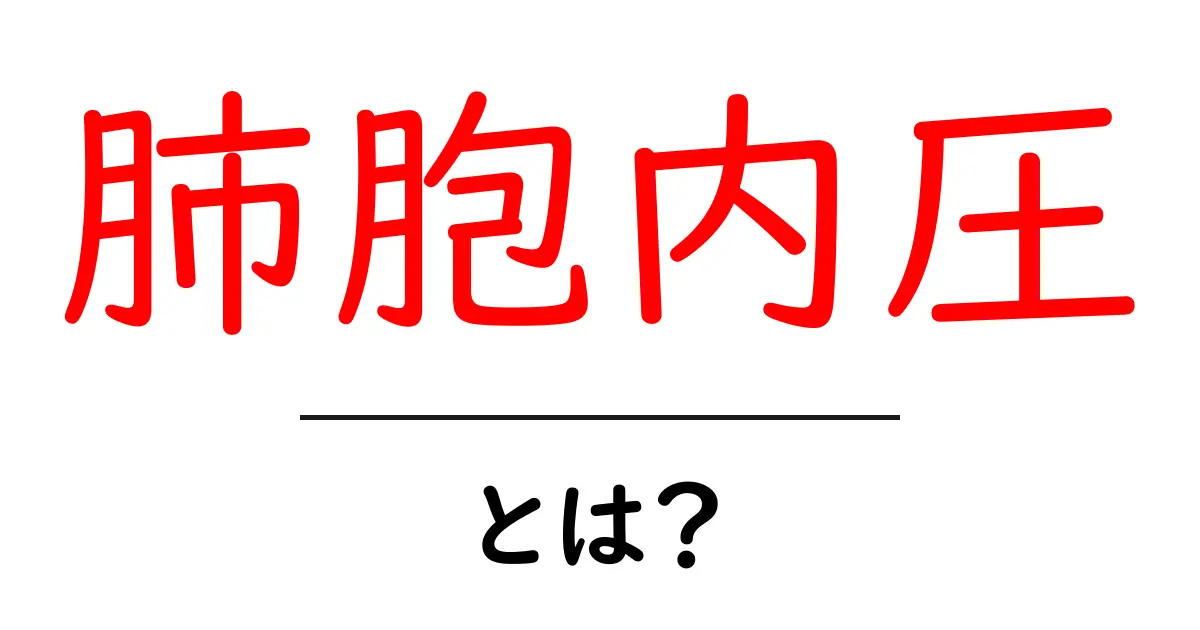肺胞内圧・とは？初心者向けにやさしく解説する基本ガイド共起語・同意語・対義語も併せて解説！