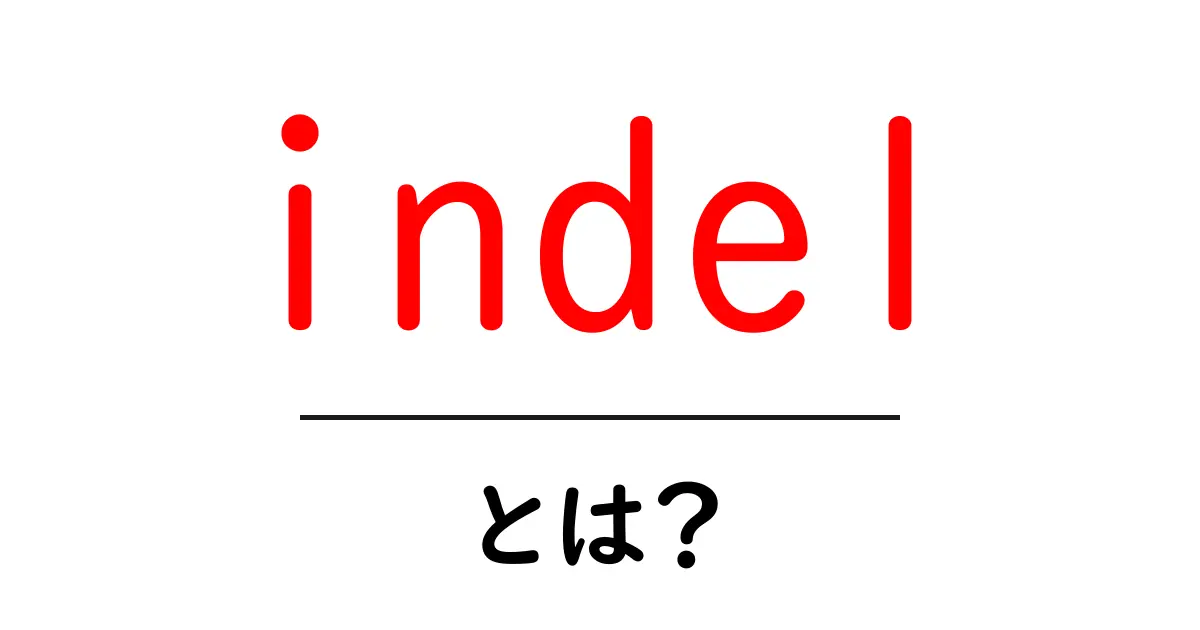 indelとは?初心者向け基本ガイドと身近な例共起語・同意語・対義語も併せて解説!