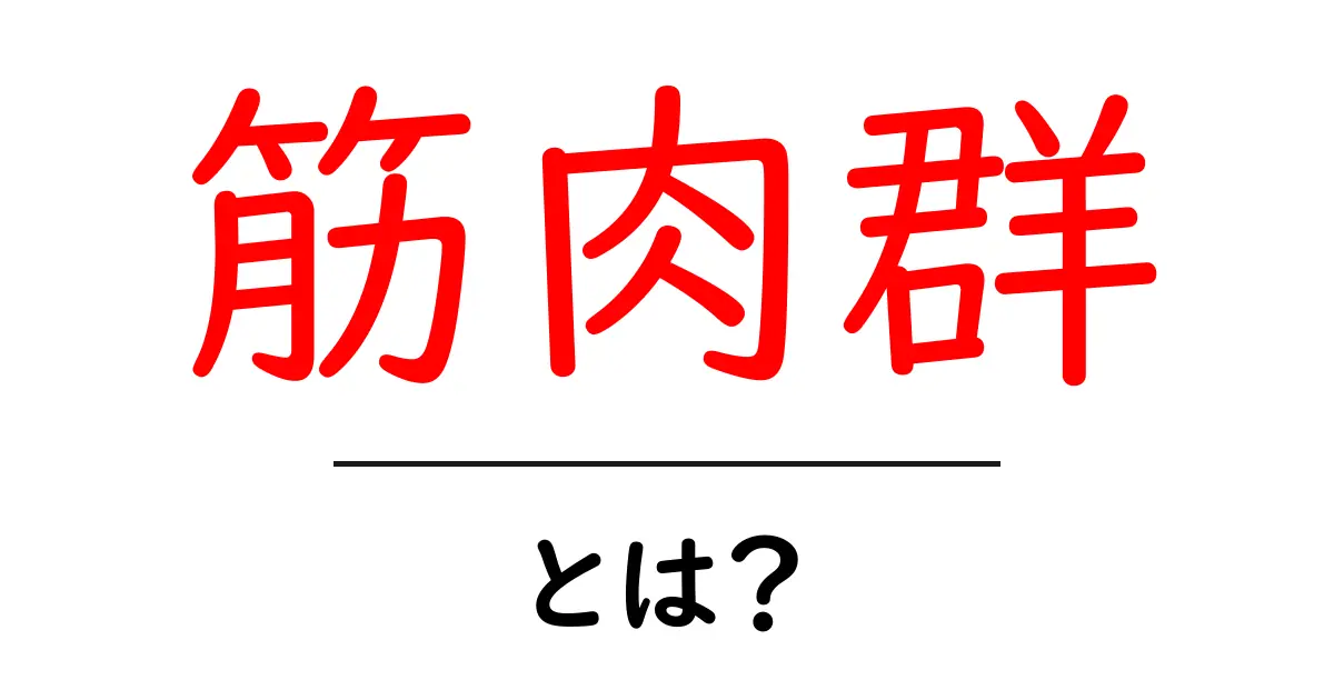 筋肉群・とは？をやさしく解説！初心者向けの基礎ガイド共起語・同意語・対義語も併せて解説！