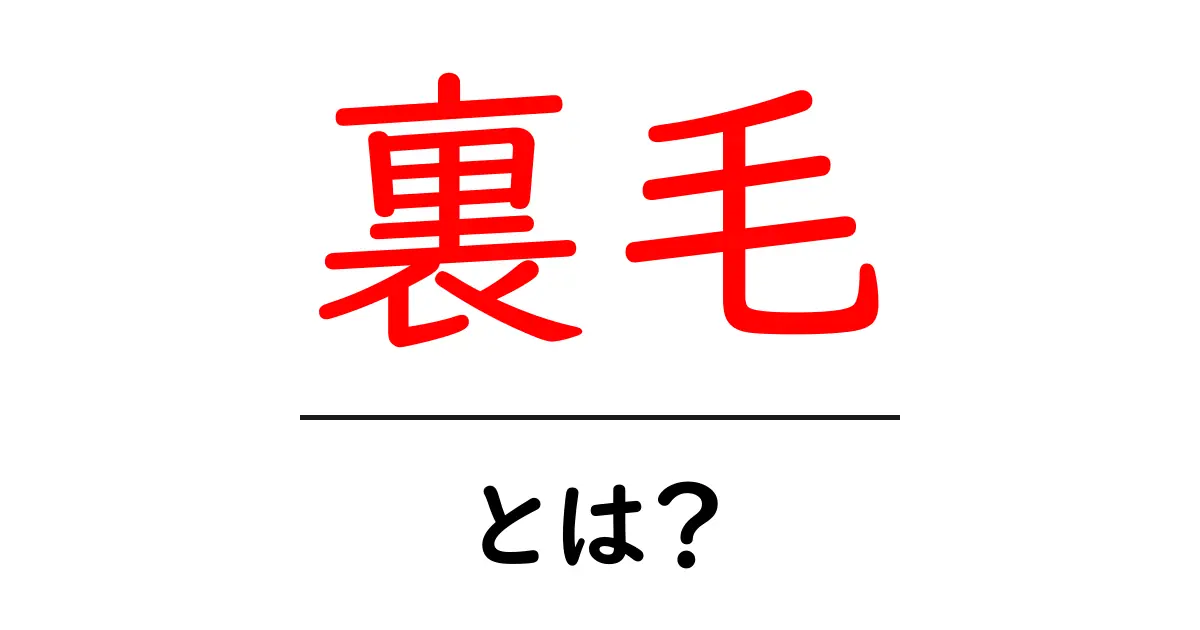 裏毛・とは？初心者にも分かる裏毛の特徴と選び方共起語・同意語・対義語も併せて解説！