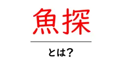 魚探とは?初心者にもわかる使い方と選び方ガイド共起語・同意語・対義語も併せて解説!