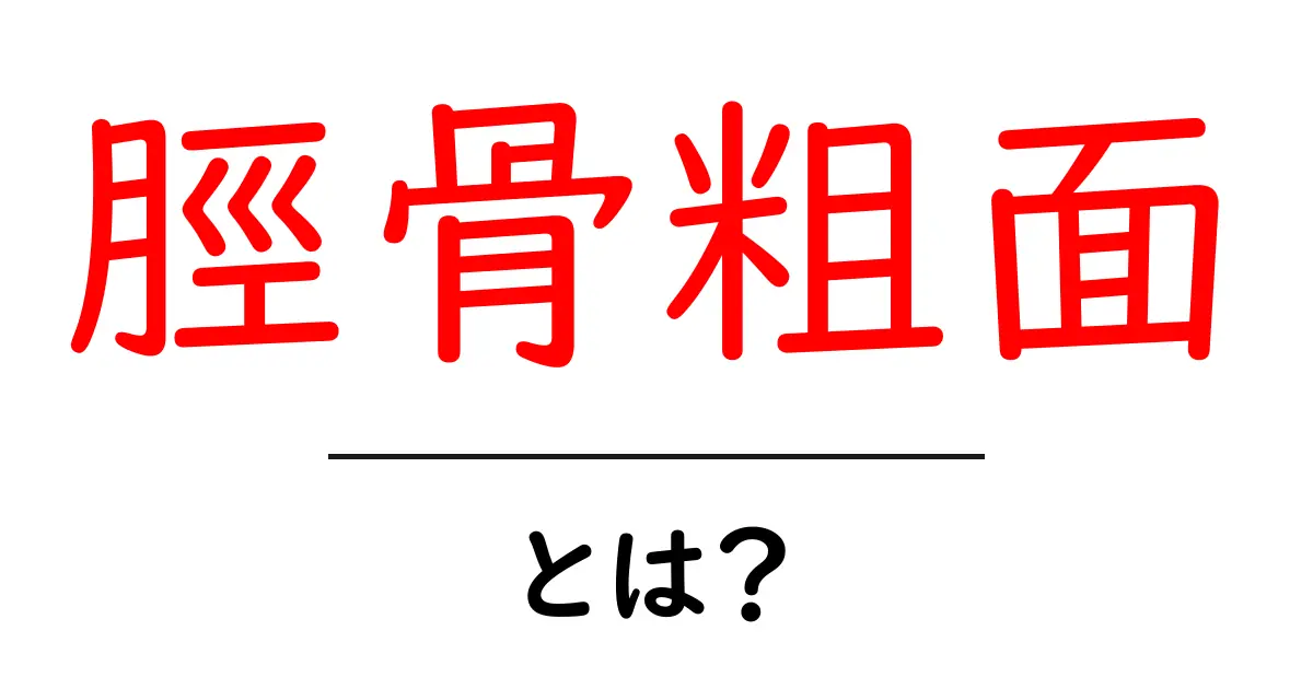 脛骨粗面・とは？初心者でも分かる基礎知識と痛みの原因・予防のポイント共起語・同意語・対義語も併せて解説！