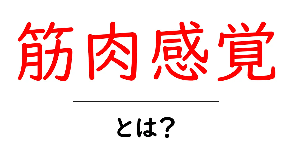 筋肉感覚・とは？初心者にも分かる筋肉感覚のしくみと鍛え方共起語・同意語・対義語も併せて解説！