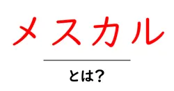 メスカル・とは？初心者でも分かるメスカルの基礎ガイド共起語・同意語・対義語も併せて解説！