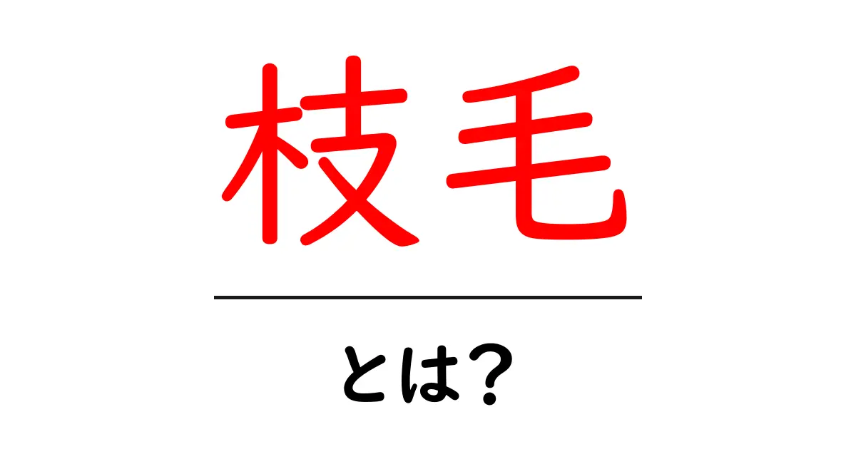 枝毛・とは？初心者でも分かる髪のダメージ解説ガイド共起語・同意語・対義語も併せて解説！