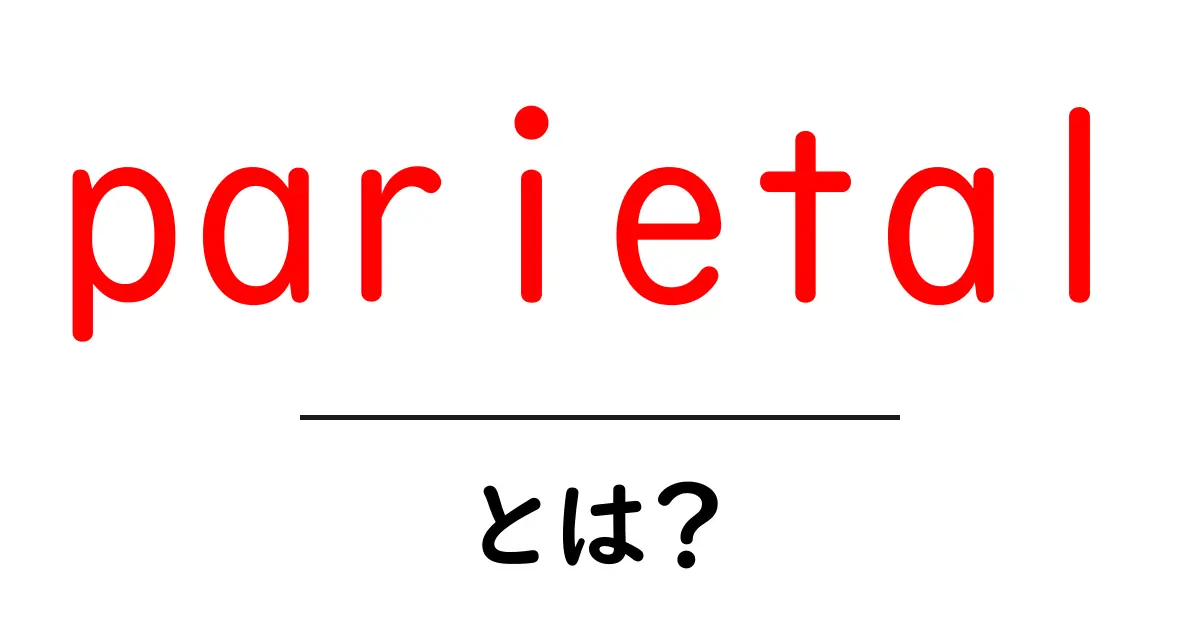 parietal とは？初心者にも分かる解説と頭頂骨・頭頂葉の基礎共起語・同意語・対義語も併せて解説！