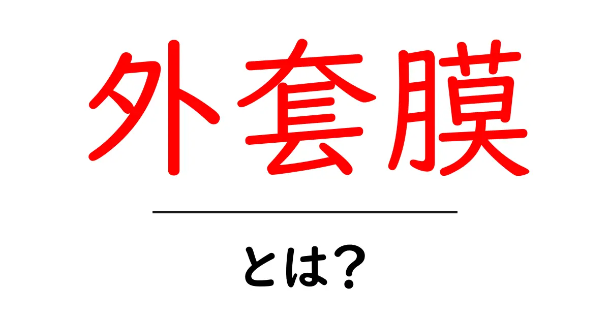 外套膜とは?中学生にもわかる生物の基本と働きをやさしく解説共起語・同意語・対義語も併せて解説!
