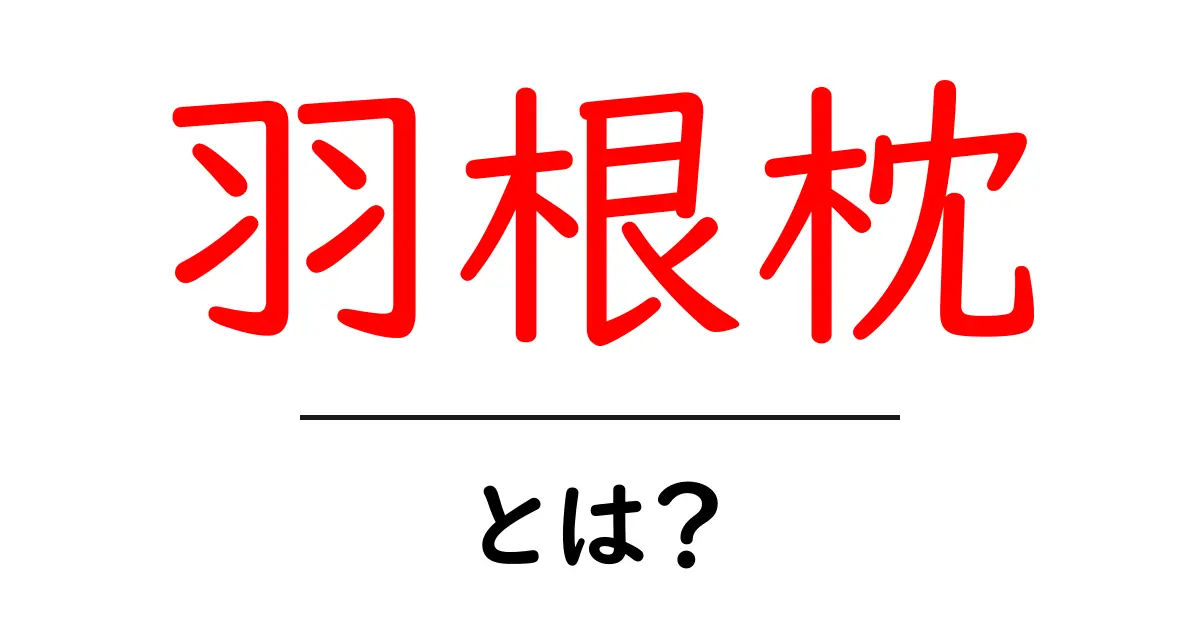 羽根枕とは?眠りを深める秘密と正しい選び方をやさしく解説共起語・同意語・対義語も併せて解説!