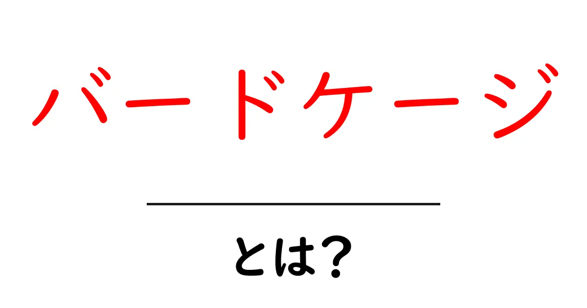 バードケージとは？初心者が知って得する基本と選び方のコツ共起語・同意語・対義語も併せて解説！