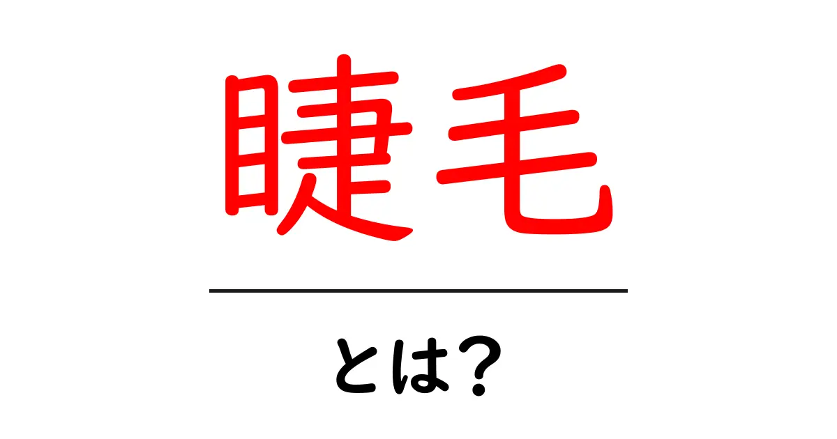 睫毛・とは？初心者が知るべき基礎とケアのコツ共起語・同意語・対義語も併せて解説！