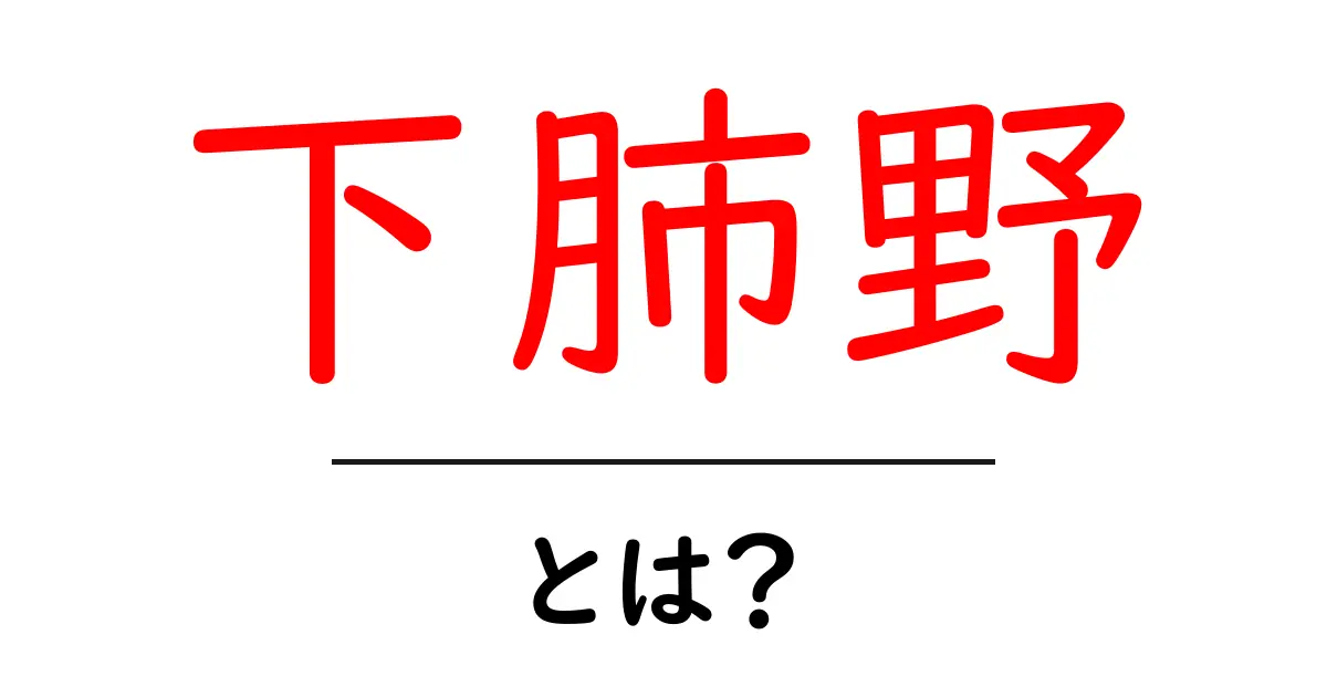 下肺野・とは？初心者にもわかる解説と基礎知識共起語・同意語・対義語も併せて解説！