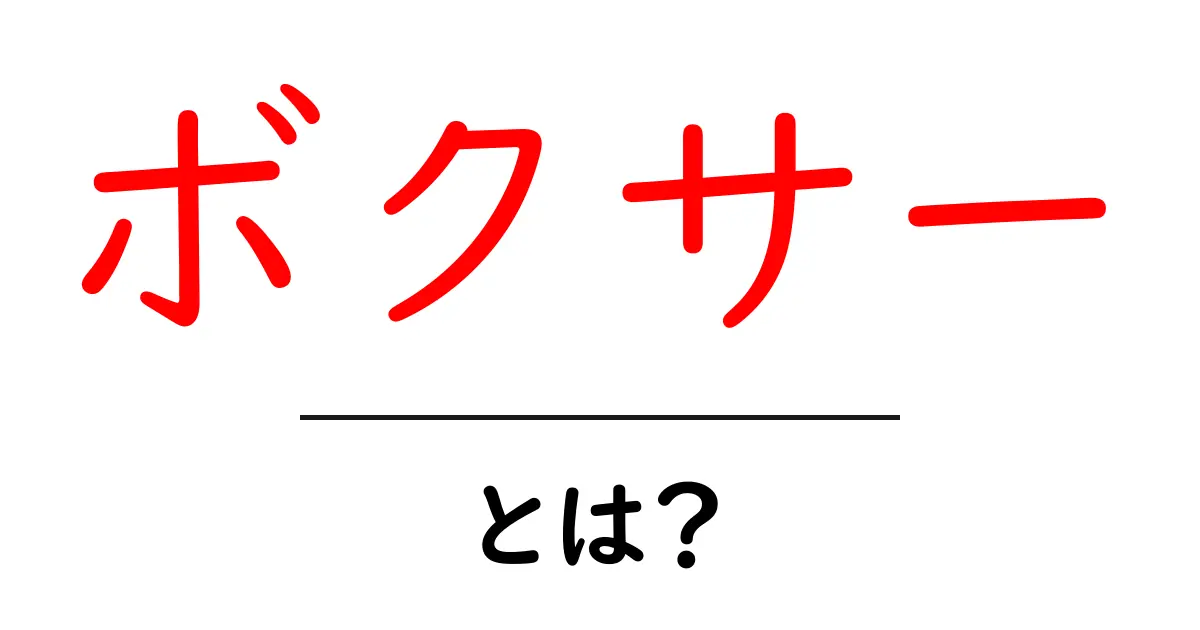 ボクサー・とは？初心者にもわかる基礎解説と始め方ガイド共起語・同意語・対義語も併せて解説！