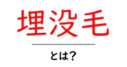 埋没毛・とは?初心者でも分かる原因とケアの完全ガイド共起語・同意語・対義語も併せて解説!