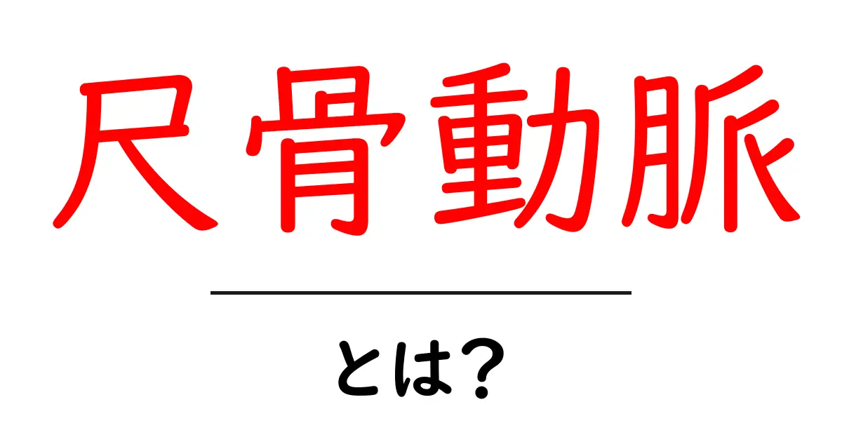 尺骨動脈とは？体の仕組みと役割を初心者にもわかる解説共起語・同意語・対義語も併せて解説！