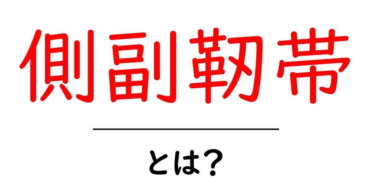 側副靭帯・とは?初心者向けにやさしく解説共起語・同意語・対義語も併せて解説!