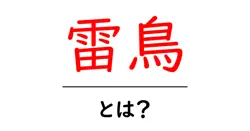 雷鳥とは?山の鳥の謎を解く初心者向け解説と写真の楽しみ方共起語・同意語・対義語も併せて解説!