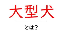 大型犬・とは？初心者が知っておくべき基礎ガイド共起語・同意語・対義語も併せて解説！