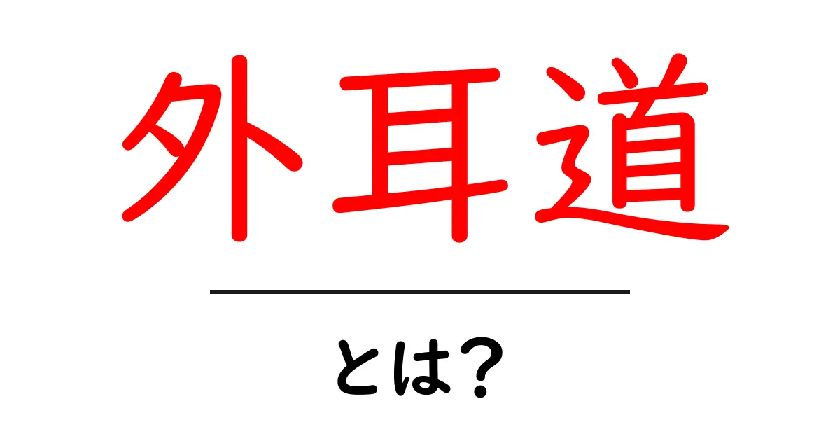 外耳道とは?初心者向けにやさしく解説する基礎ガイド共起語・同意語・対義語も併せて解説!